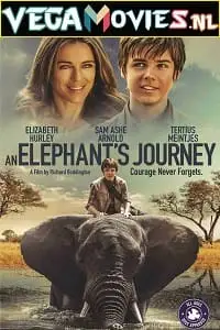 an elephant s journey 2017