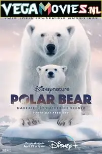 polar bear 2022