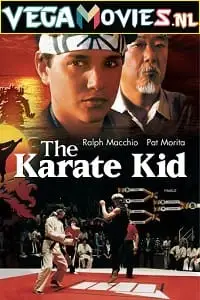 the karate kid 1984