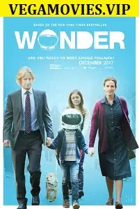 wonder 2017